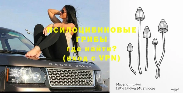 mdpv Аркадак